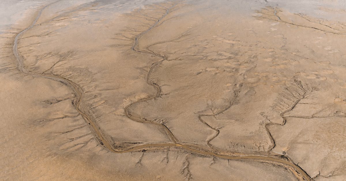 découvrez tout sur l'alluvium : formation, caractéristiques, et importance géologique des dépôts sédimentaires alluviaux.