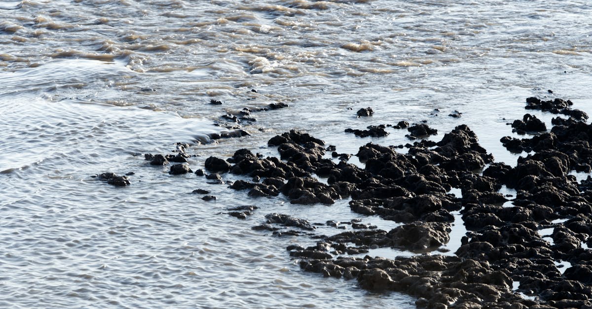 découvrez tout sur l'alluvium : ses caractéristiques, sa formation, son importance en géologie et son rôle dans l'environnement.