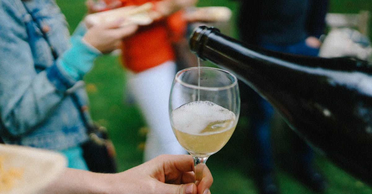 découvrez tout sur le chardonnay, le cépage blanc emblématique, ses origines, ses caractéristiques aromatiques et ses accords mets-vins.