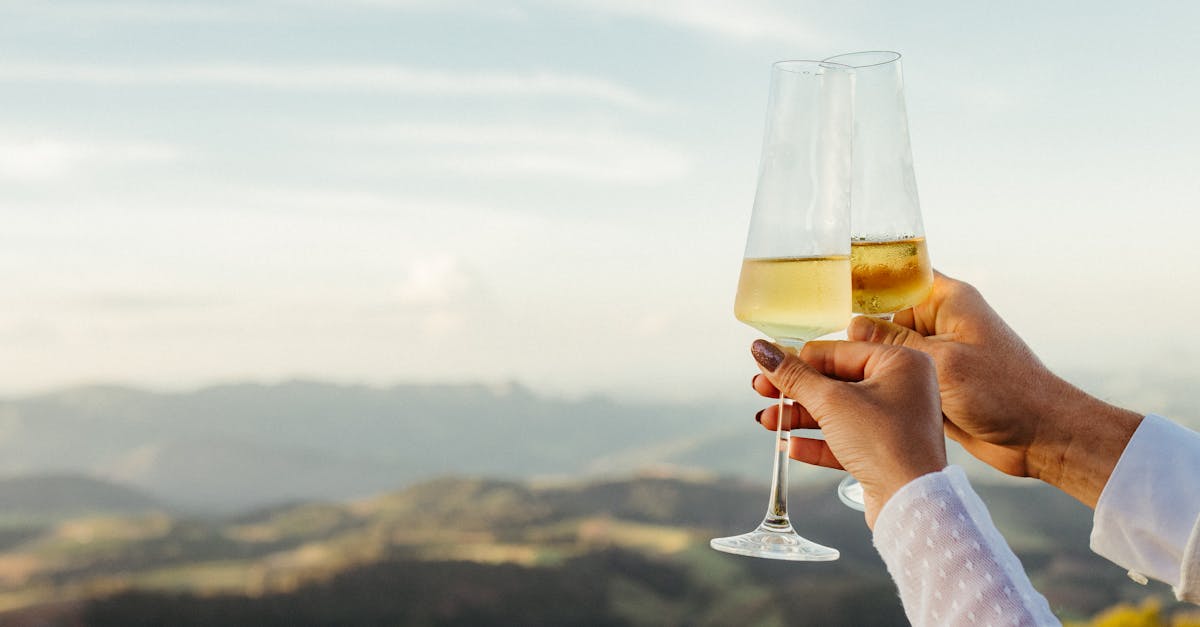 découvrez tout sur le chardonnay, cépage emblématique des vins blancs, ses caractéristiques, ses régions de production et ses accords mets-vins.