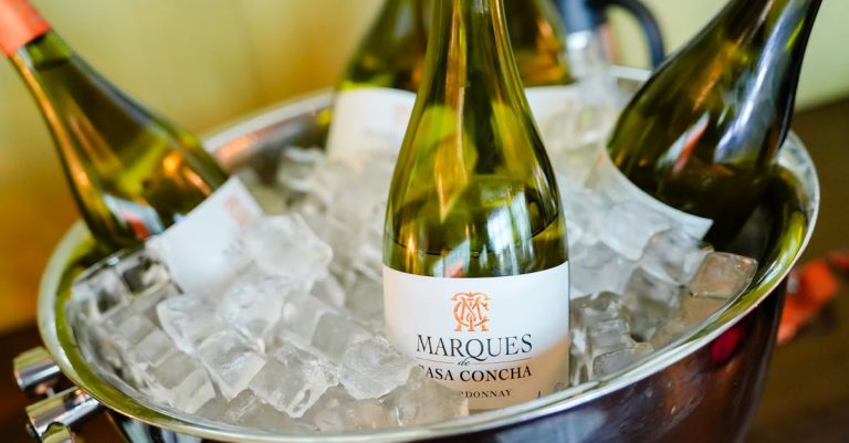 découvrez tout sur le chardonnay, un cépage blanc emblématique, ses caractéristiques, ses régions viticoles et les accords parfaits pour sublimer ce vin élégant.