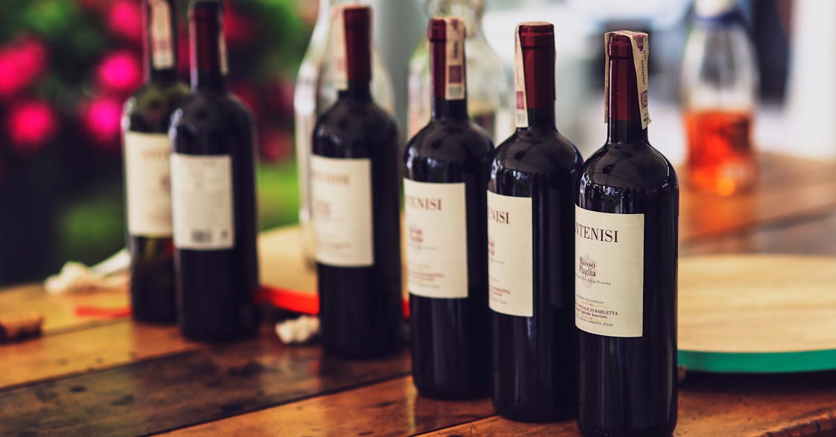 découvrez notre sélection de vins pas chers de qualité, parfaits pour toutes vos occasions sans vous ruiner.