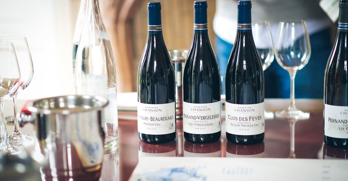 découvrez les vins des corbières, une région viticole emblématique du sud de la france, réputée pour ses saveurs riches et ses cépages authentiques.