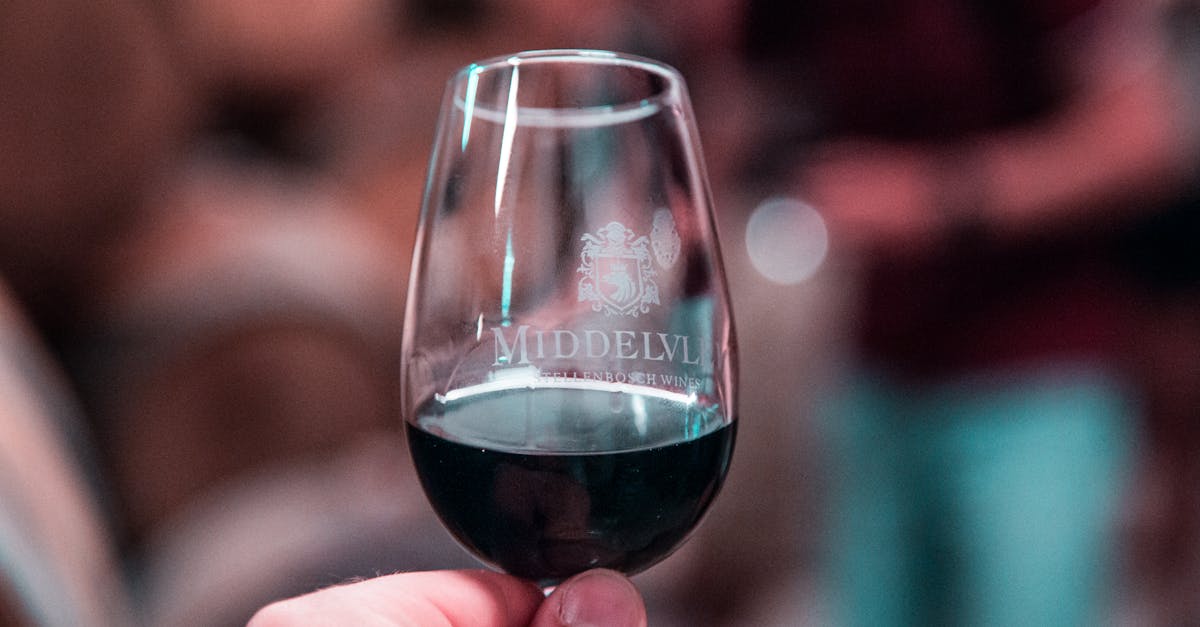 découvrez les vins des corbières, une région réputée pour ses vins rouges complexes et aromatiques, issus d'un terroir exceptionnel du sud de la france.