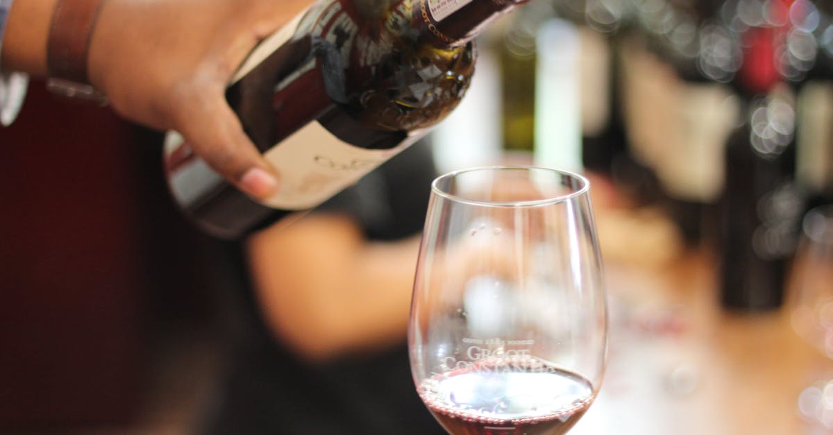 découvrez les vins des corbières, une région viticole renommée du sud de la france, célèbre pour ses cépages authentiques et ses saveurs riches.