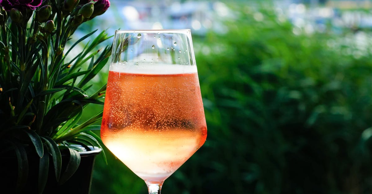 découvrez notre sélection de crémants, vins effervescents français alliant finesse et fraîcheur, parfaits pour toutes vos célébrations.
