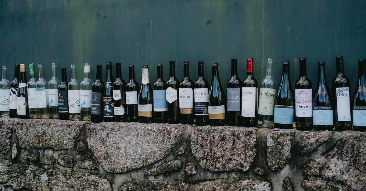 découvrez le frontonnais, une région viticole française réputée pour ses vins rouges élégants et aromatiques, parfaits pour accompagner vos repas.