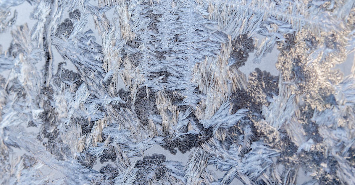 découvrez le phénomène naturel du gel et de la formation du givre, ses effets sur l’environnement et comment s’en protéger.