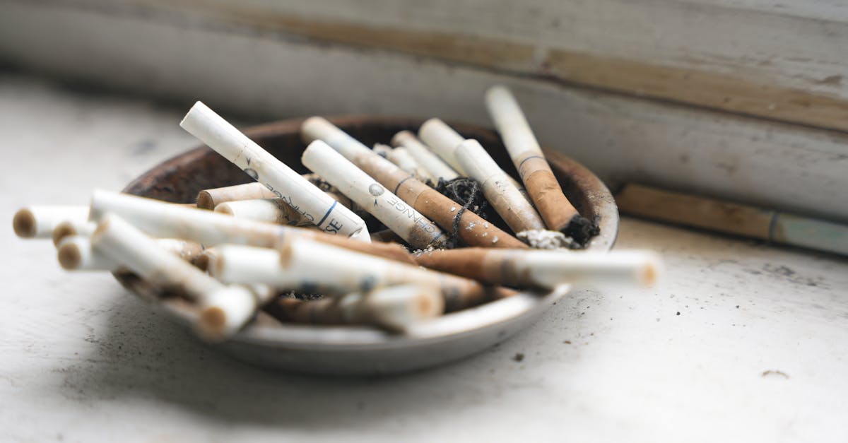 découvrez les risques pour la santé liés aux sulfites, leurs effets possibles et comment les éviter pour préserver votre bien-être.