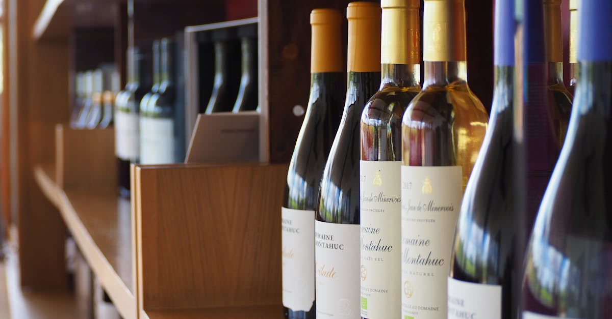découvrez les vins du mâconnais, une région viticole de bourgogne réputée pour ses vins blancs élégants et ses rouges fruités, parfaits pour accompagner vos repas.