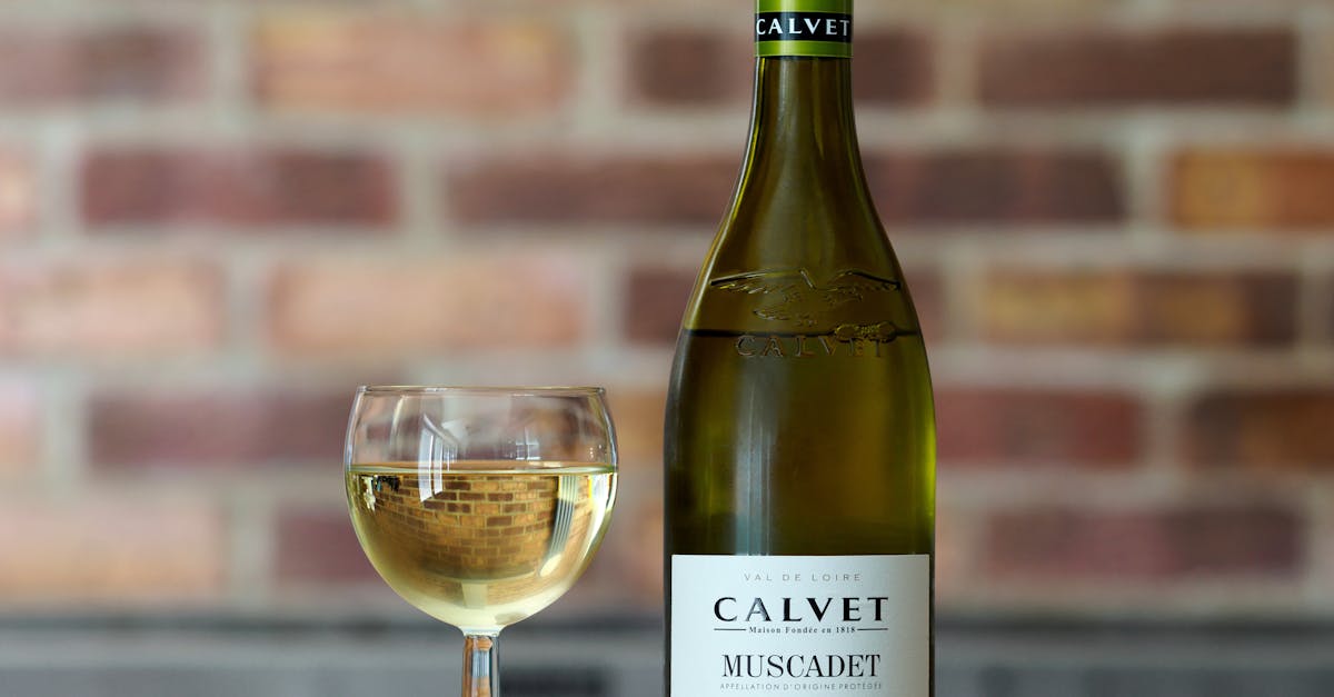 découvrez les vins du mâconnais, une région viticole de bourgogne reconnue pour ses cépages chardonnay et pinot noir, offrant des saveurs riches et authentiques.