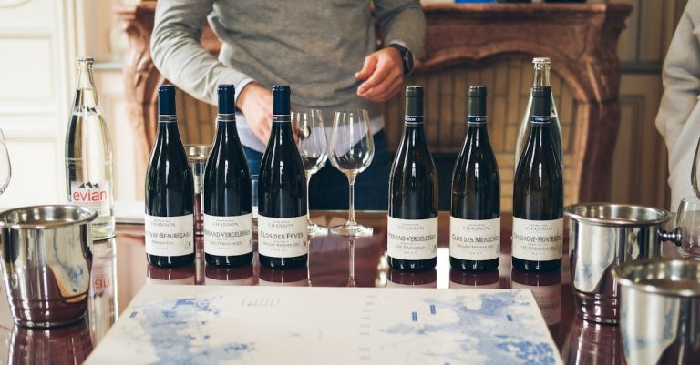 découvrez les vins du mâconnais, une région viticole renommée de bourgogne offrant des crus élégants et fruités, parfaits pour les amateurs de vins blancs et rouges.