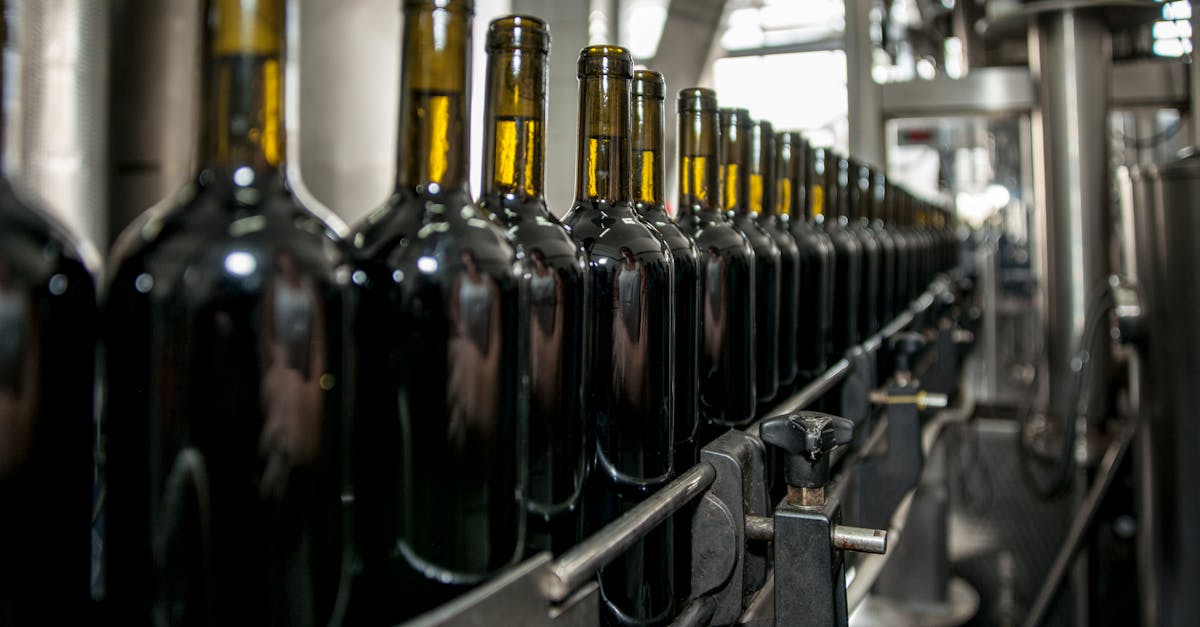 découvrez notre sélection de magnum bottles, des bouteilles au format généreux idéales pour vos célébrations et événements spéciaux. parfaites pour partager et impressionner vos invités.