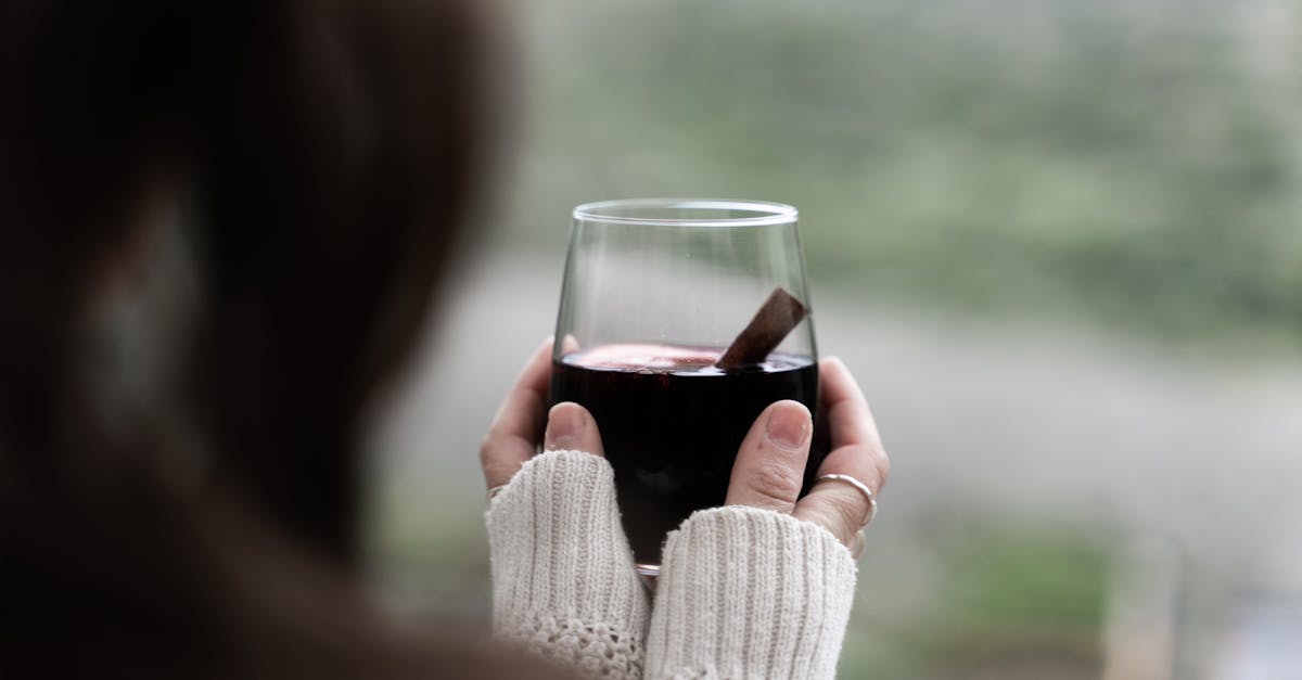 découvrez la recette traditionnelle du vin chaud, une boisson chaleureuse et épicée parfaite pour réchauffer vos soirées d'hiver.