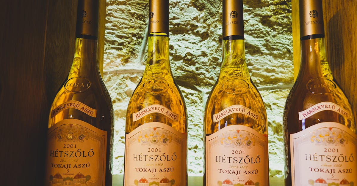 découvrez le vin nabuchodonosor, une expérience unique alliant richesse aromatique et élégance. parfait pour les amateurs de grands crus et les moments d'exception.