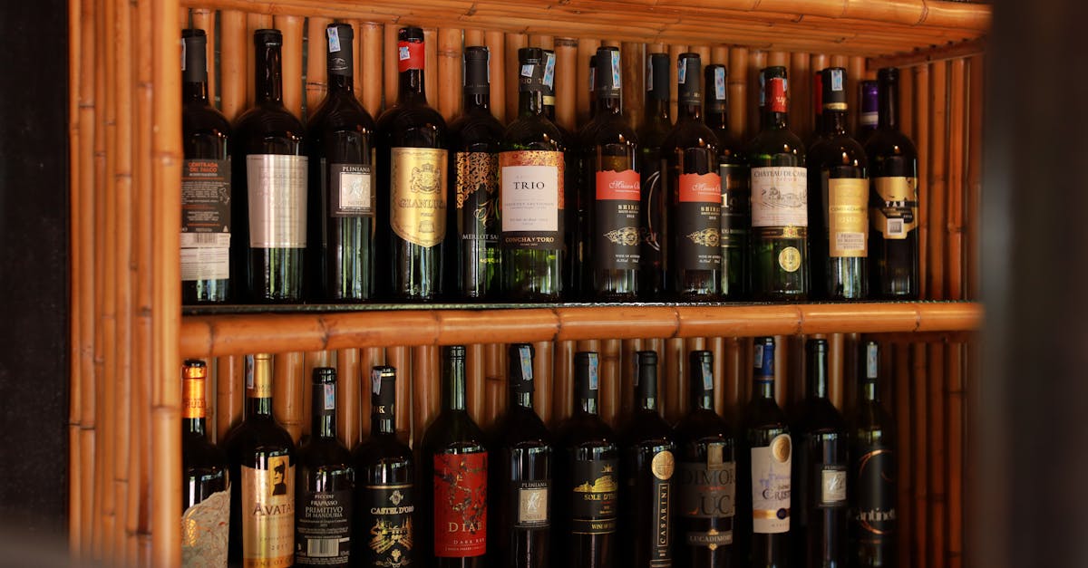découvrez nabuchodonosor wine, un vin d'exception reconnu pour sa qualité supérieure et ses arômes riches, parfait pour les grandes occasions et les amateurs de vins raffinés.