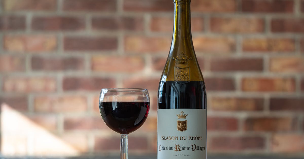 découvrez les vins d'exception de la vallée du rhône, une région viticole renommée pour ses cépages variés et ses terroirs uniques. explorez des saveurs riches et authentiques.