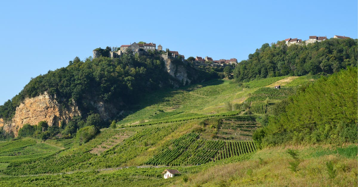 découvrez les vins d'exception de la vallée du rhône, une région viticole prestigieuse reconnue pour ses crus remarquables et sa richesse aromatique unique.