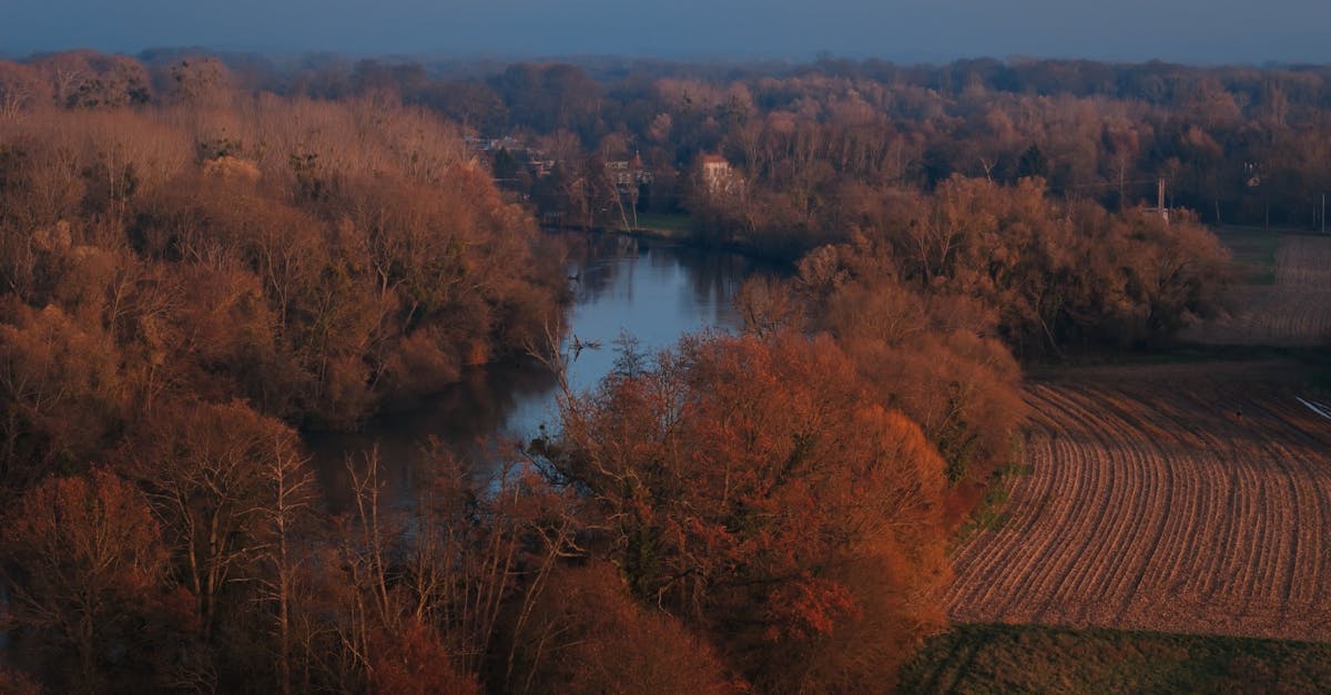 découvrez les vins d'exception de savennières, une appellation renommée de la vallée de la loire, célèbre pour ses vins blancs secs élaborés à partir du cépage chenin blanc.