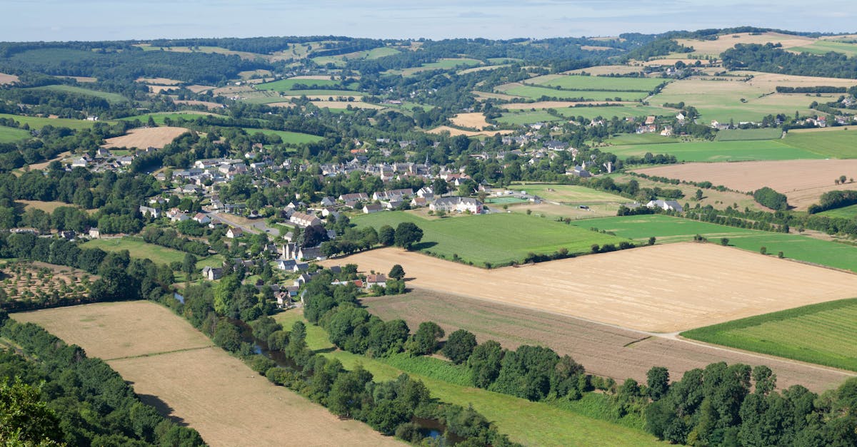 découvrez les vins d'exception de savennières, un terroir unique de la vallée de la loire réputé pour ses blancs élégants et puissants, produits à partir du cépage chenin blanc.