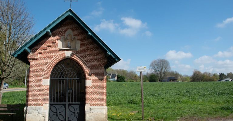 découvrez les vins d'exception de savennières, une appellation emblématique de la loire, réputée pour ses crus blancs secs et raffinés à base de chenin blanc.