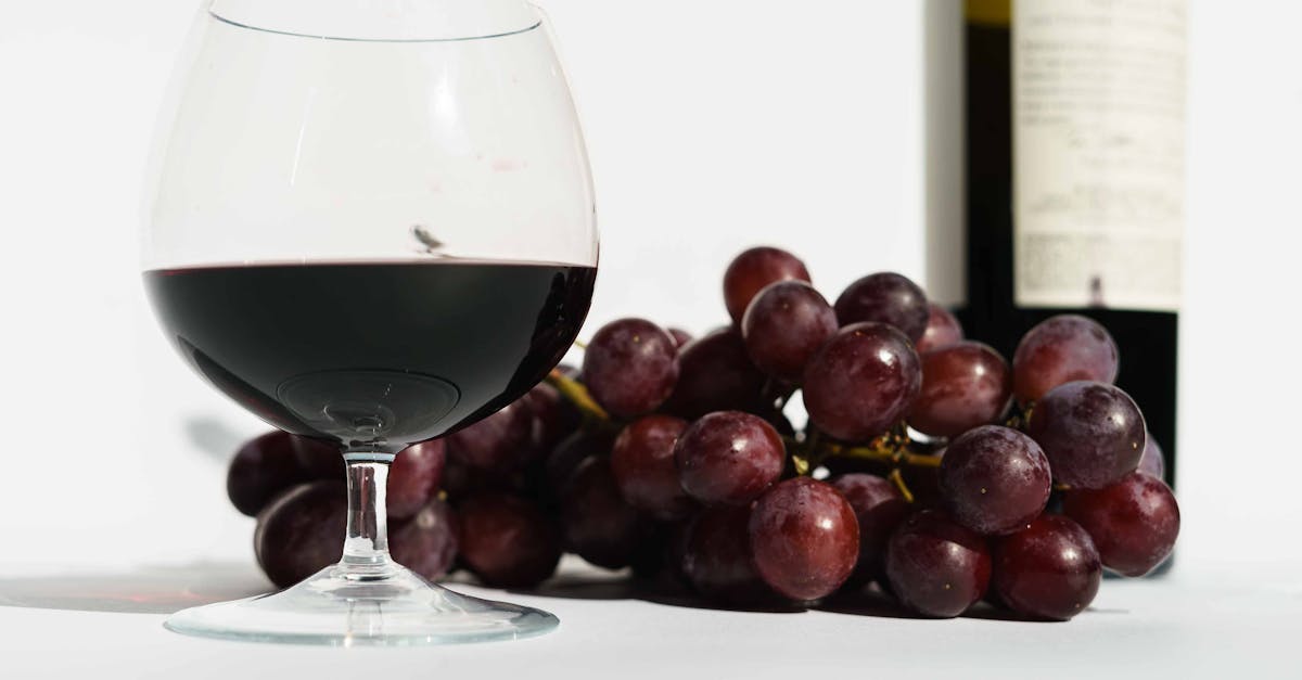 découvrez tout ce qu'il faut savoir sur les sulfites : leur utilisation, leurs effets sur la santé, et comment les identifier dans les produits alimentaires et boissons.