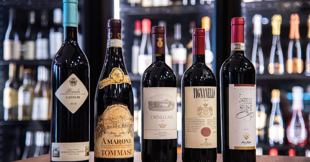 découvrez tout sur le vin : ses cépages, ses régions viticoles, ses accords mets-vins et conseils de dégustation pour les amateurs et novices.