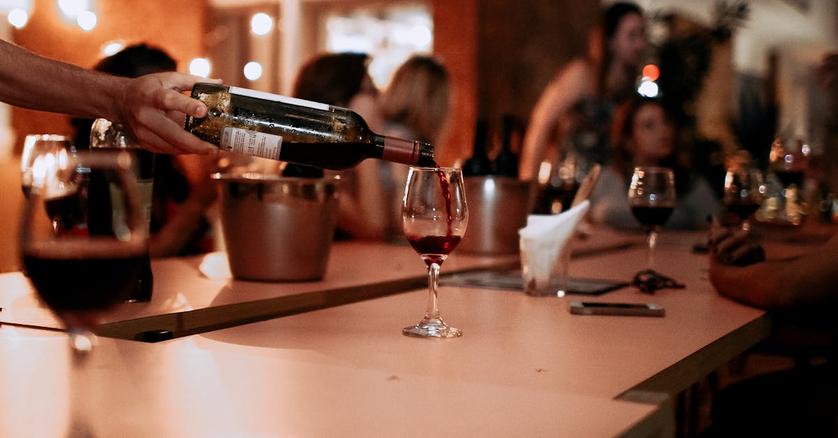 découvrez tout sur le vin : ses origines, ses différents cépages, conseils de dégustation et accords mets-vins pour sublimer vos repas.