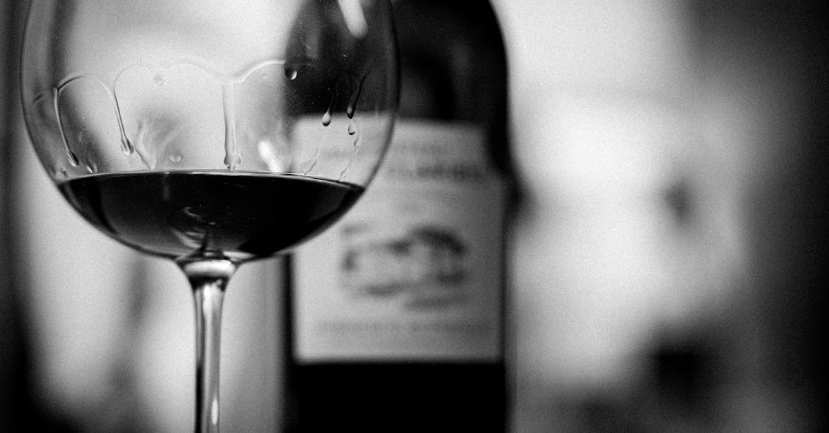 découvrez tout sur le vin : types, origines, dégustation et accords mets-vins pour les amateurs et connaisseurs.