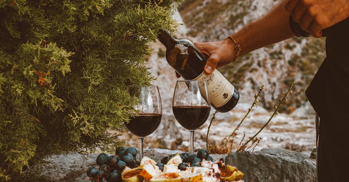 découvrez comment associer parfaitement vos vins avec différents plats pour sublimer vos repas et réveiller vos papilles.