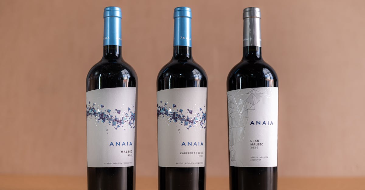 découvrez notre sélection de vins de qualité à prix abordables, parfaits pour toutes les occasions et tous les budgets.