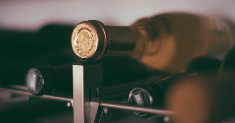 découvrez notre sélection de vins de qualité à prix abordables, parfaits pour toutes les occasions.