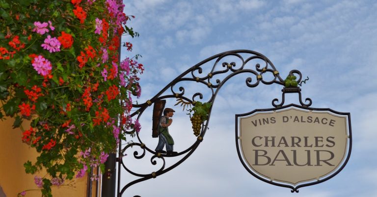 découvrez les vins blancs d'alsace, réputés pour leur finesse et leurs arômes uniques, parfaits pour accompagner vos repas et moments de convivialité.