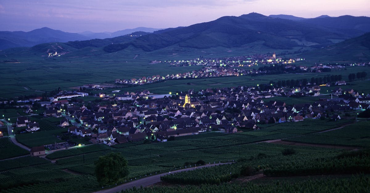 découvrez les vins blancs d'alsace, réputés pour leur finesse et leur fraîcheur, issus des meilleurs cépages de la région.