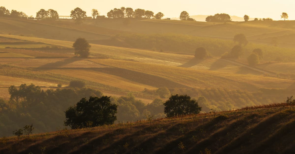 découvrez l'appellation beaujolais, célèbre pour ses vins rouges fruités et légers issus de la région viticole française du beaujolais.
