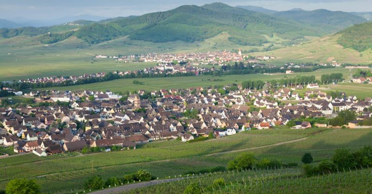découvrez le beaujolais nouveau 2026, un vin primeur fruité et gourmand, idéal pour célébrer l'arrivée de la nouvelle récolte avec convivialité et plaisir.