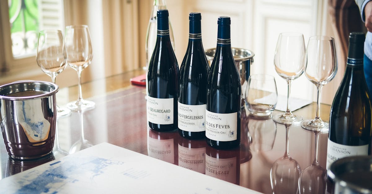 découvrez le beaujolais nouveau 2026, un vin frais et fruité célébrant chaque année l'arrivée de la nouvelle récolte avec convivialité et tradition.
