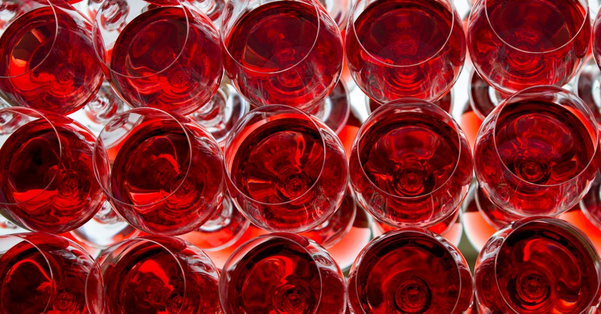 découvrez les richesses du vin rouge de bourgogne, un cépage raffiné aux arômes complexes et à la finesse inégalée.