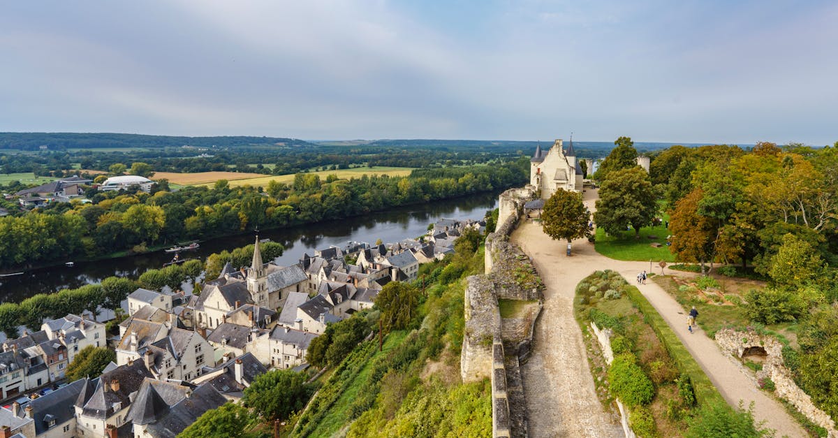 découvrez le vin rouge de chinon, un cépage élégant de la vallée de la loire, réputé pour ses arômes fruités et sa fraîcheur en bouche, parfait pour accompagner vos repas.