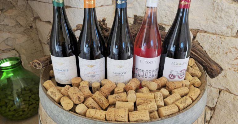 découvrez les vins des corbières, une région viticole renommée du sud de la france, célèbre pour ses crus authentiques et ses saveurs uniques.