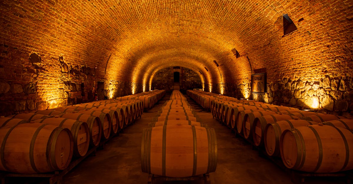 découvrez les producteurs de vin des côtes de brouilly, une région prestigieuse du beaujolais reconnue pour ses vins rouges élégants et aromatiques.