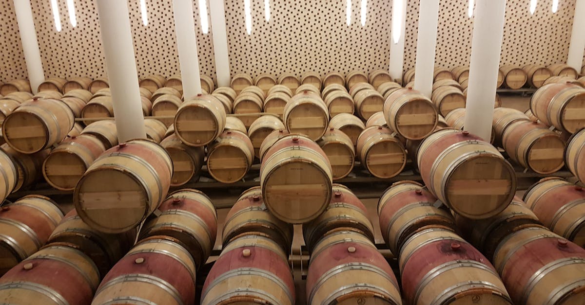 découvrez les vignobles des côtes de brouilly, une région viticole renommée pour ses vins rouges élégants et ses paysages pittoresques en beaujolais.