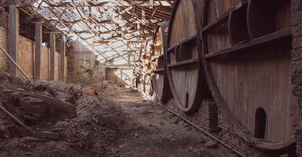 découvrez les vignobles des côtes de brouilly, une appellation phare du beaujolais réputée pour ses vins rouges élégants et fruités, produits sur des terroirs volcaniques uniques.