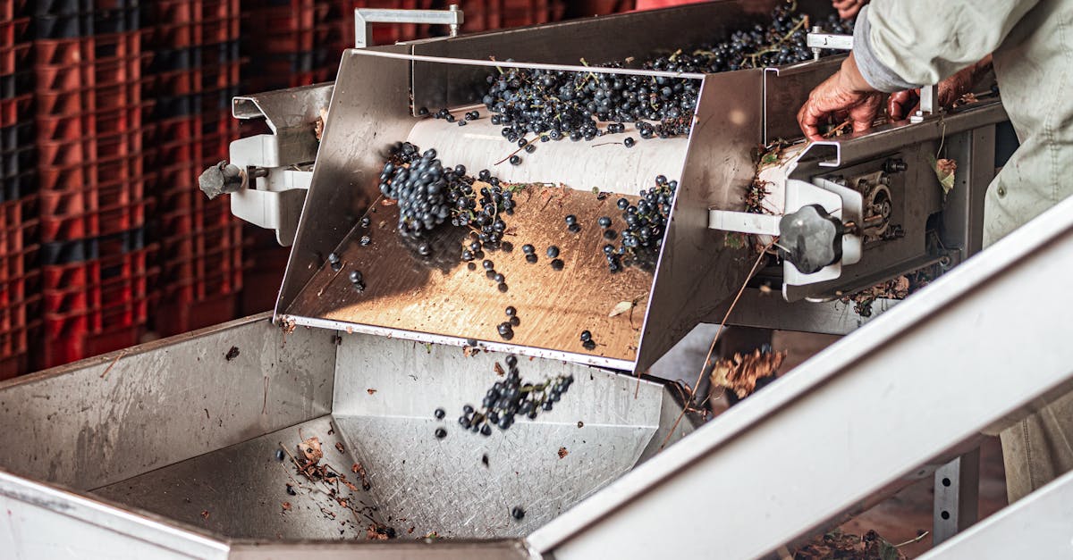 découvrez les caves des côtes de brouilly, une région viticole réputée pour ses vins rouges élégants et ses paysages pittoresques du beaujolais.