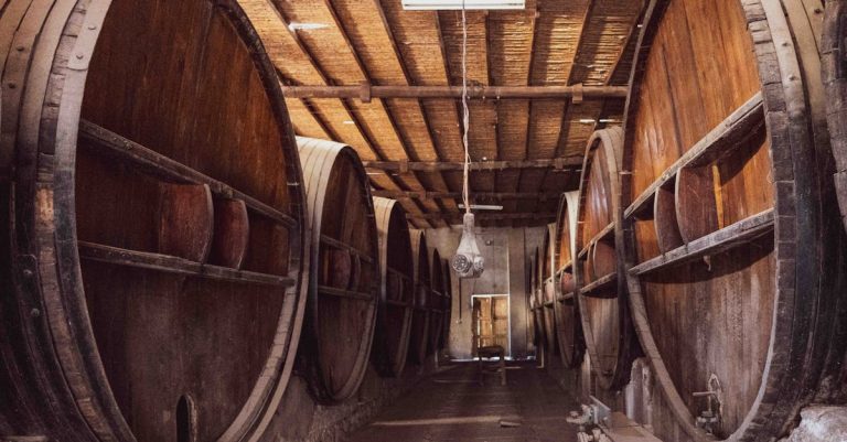 découvrez les vignobles des côtes de brouilly, réputés pour leurs vins rouges élégants issus du cépage gamay, situés dans la belle région viticole du beaujolais.