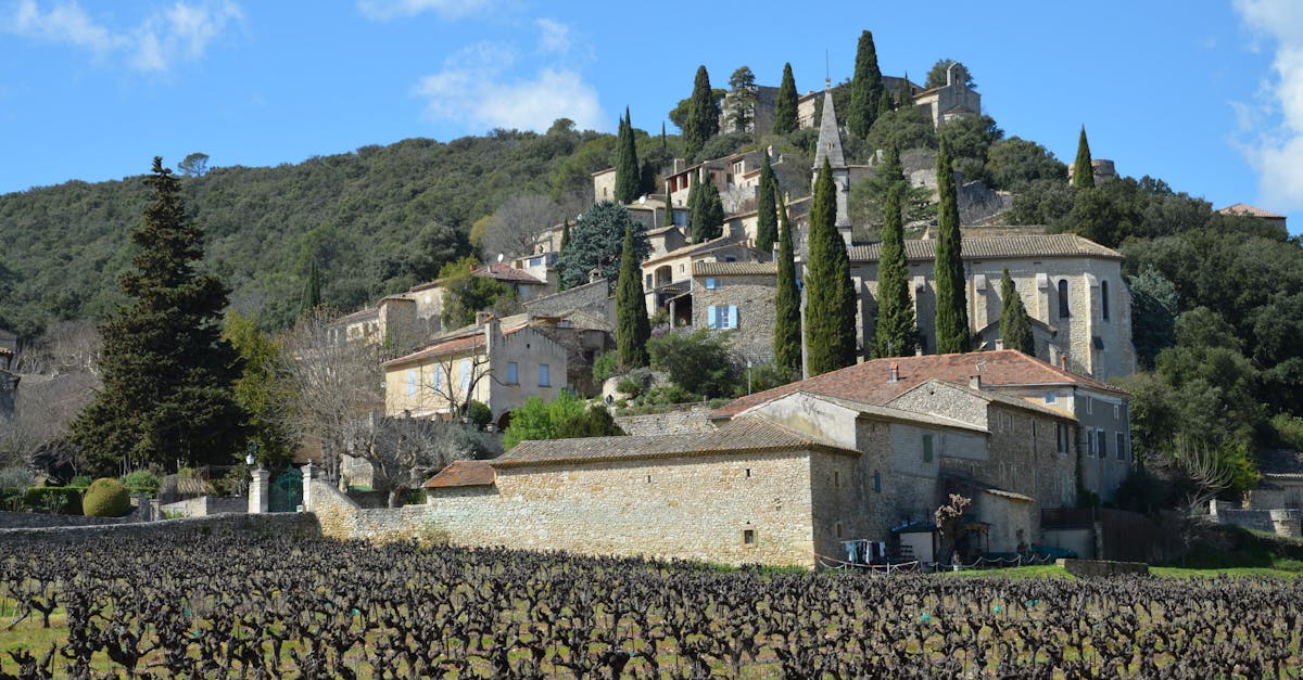 découvrez les vins d'appellation faugères, réputés pour leurs saveurs authentiques du languedoc, entre terroir unique et tradition viticole.