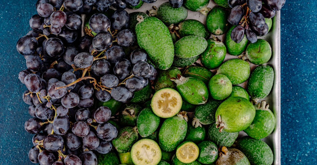 découvrez les différentes variétés de raisins, leurs caractéristiques uniques et leurs utilisations en viticulture et en œnologie.