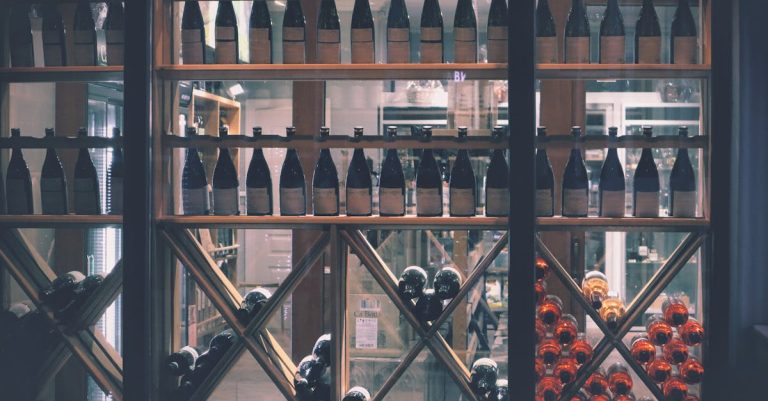 découvrez les vins du mâconnais, une région viticole emblématique de bourgogne, reconnue pour ses crus élégants et raffinés.