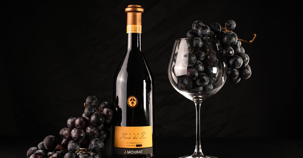 découvrez les vins du minervois, une région viticole réputée pour ses saveurs riches et authentiques, parfaite pour les amateurs de vins méridionaux.