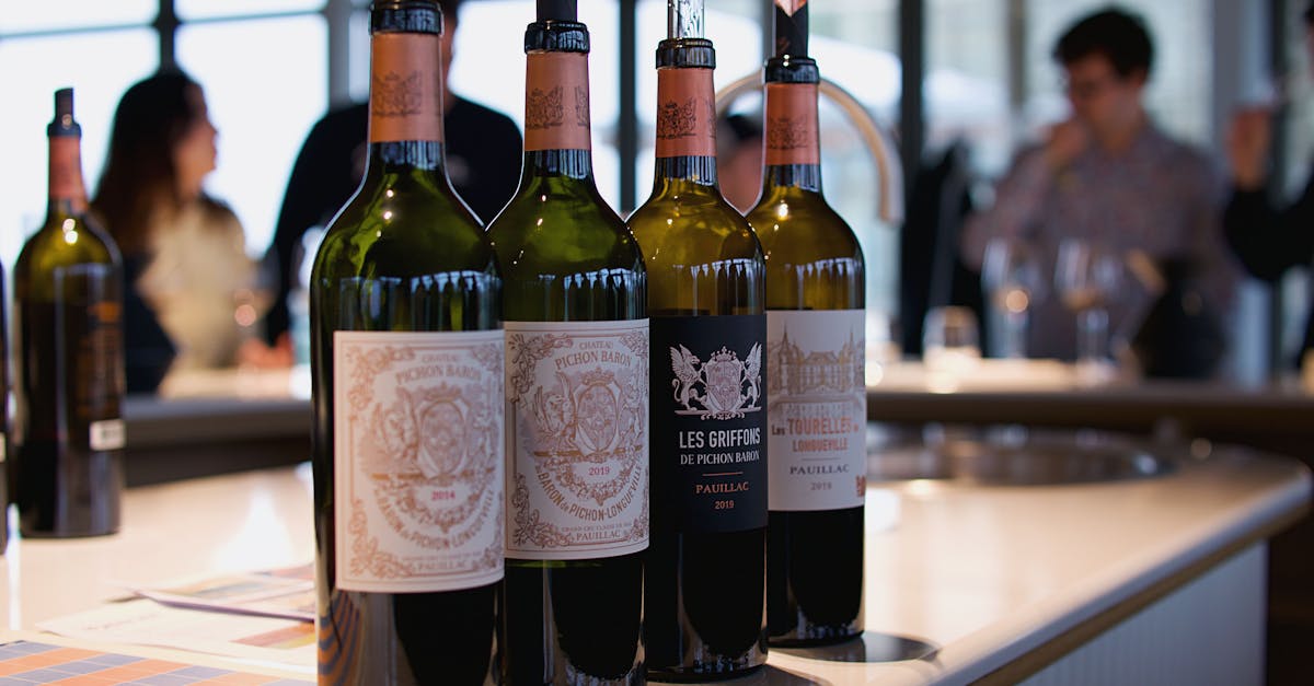 découvrez les vins de pessac-léognan, une appellation prestigieuse du bordeaux réputée pour ses crus rouges et blancs élégants aux arômes raffinés.
